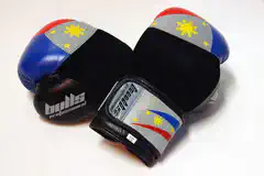 Bulls professional premium flag boxing gloves
