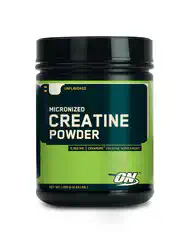 Optimum nutrition micronized creatine powder