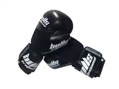 Bulls professional premium leather boxing gloves